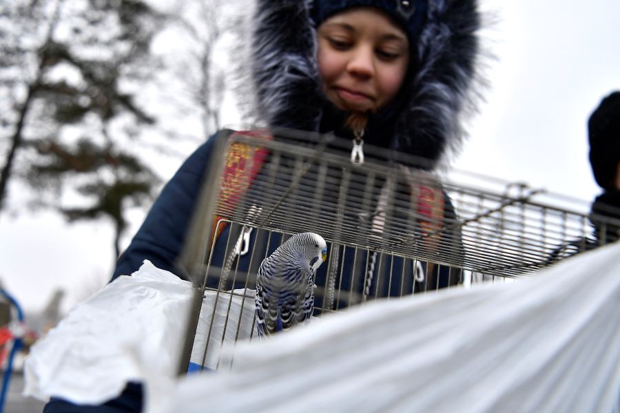 refugee girl with petreuters.JPG