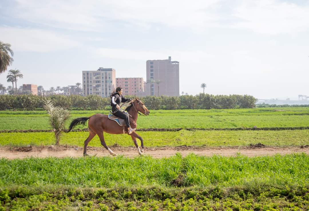 الخيل تعرفهن... بنات صعيد مصر 