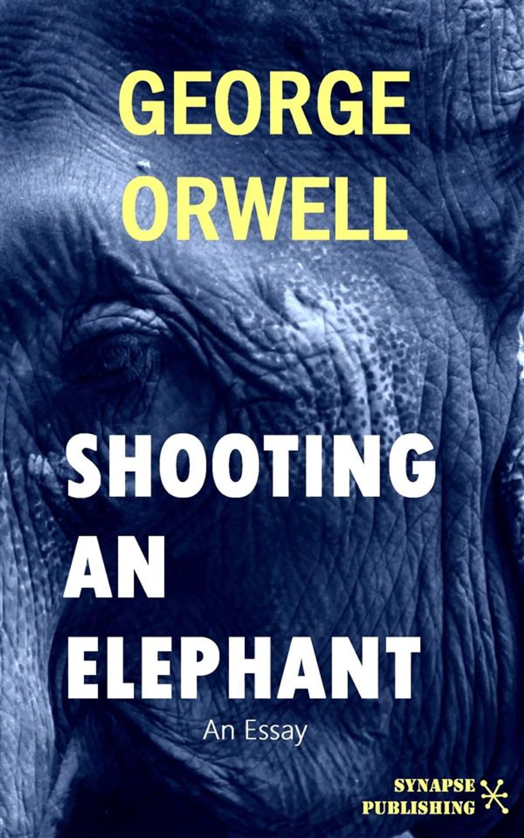 shooting-an-elephant1.jpg