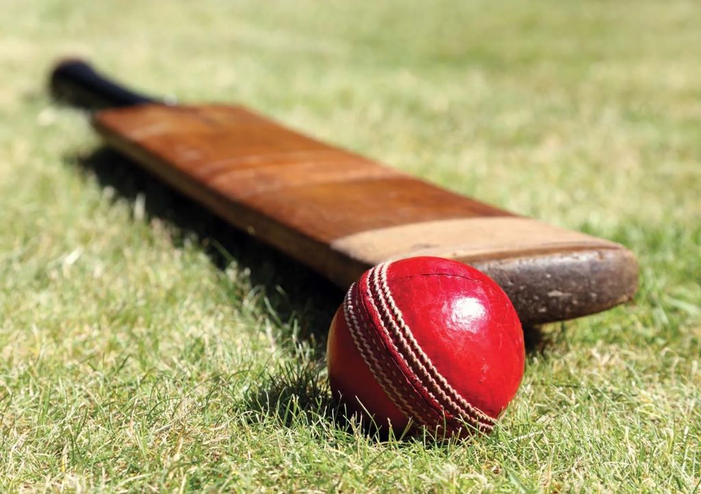 Cricket-bat-ball br1.jpg