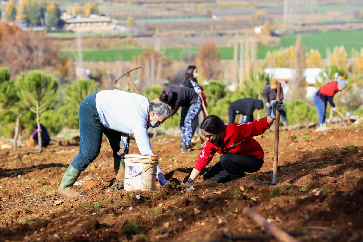 Syrians in Lebanon.jpg