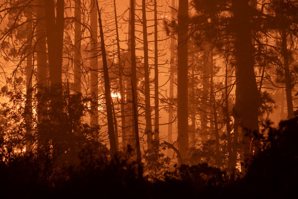 AFP__20240730__2163392345__v2__Preview__ParkFireBurnsThousandsOfAcresInNorthernCalif.jpg