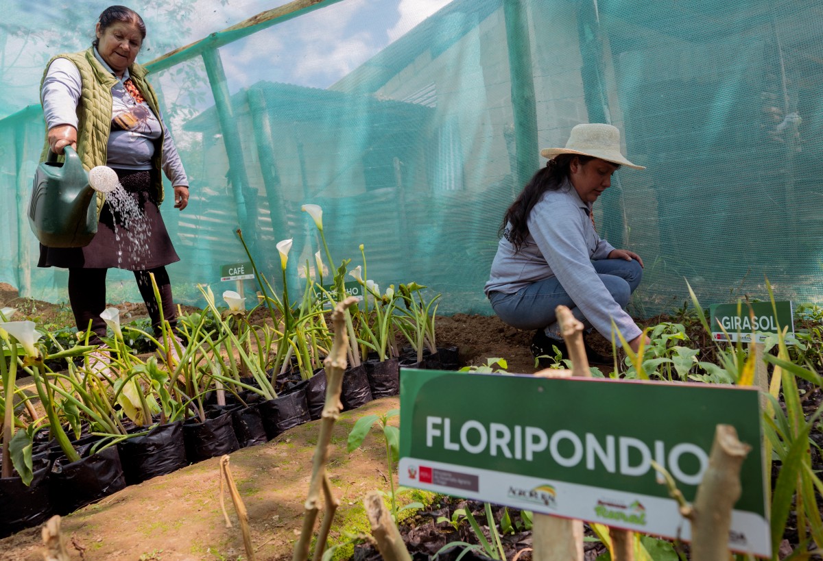 AFP__20241009__36ED2NA__v1__Preview__ClimateCop29UnPeruWomenAgriculture.jpg