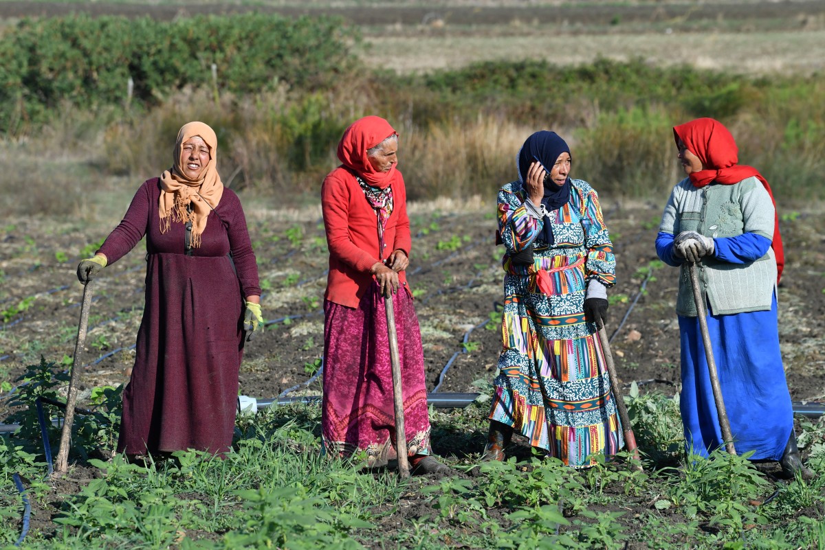 AFP__20241004__36H98ZT__v1__Preview__TunisiaEconomyPresidentialElection.jpg