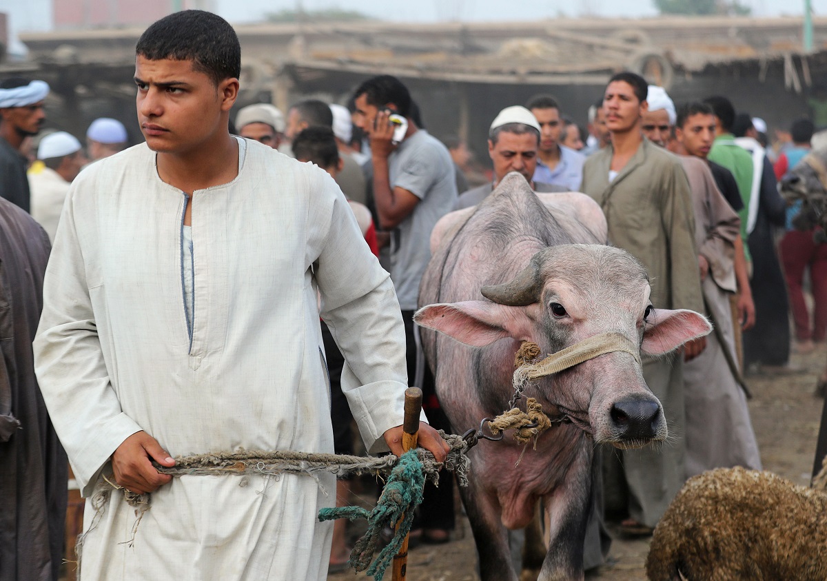 2019-08-08T083543Z_1665176192_RC1C00E89000_RTRMADP_3_RELIGION-EID-EGYPT.JPG