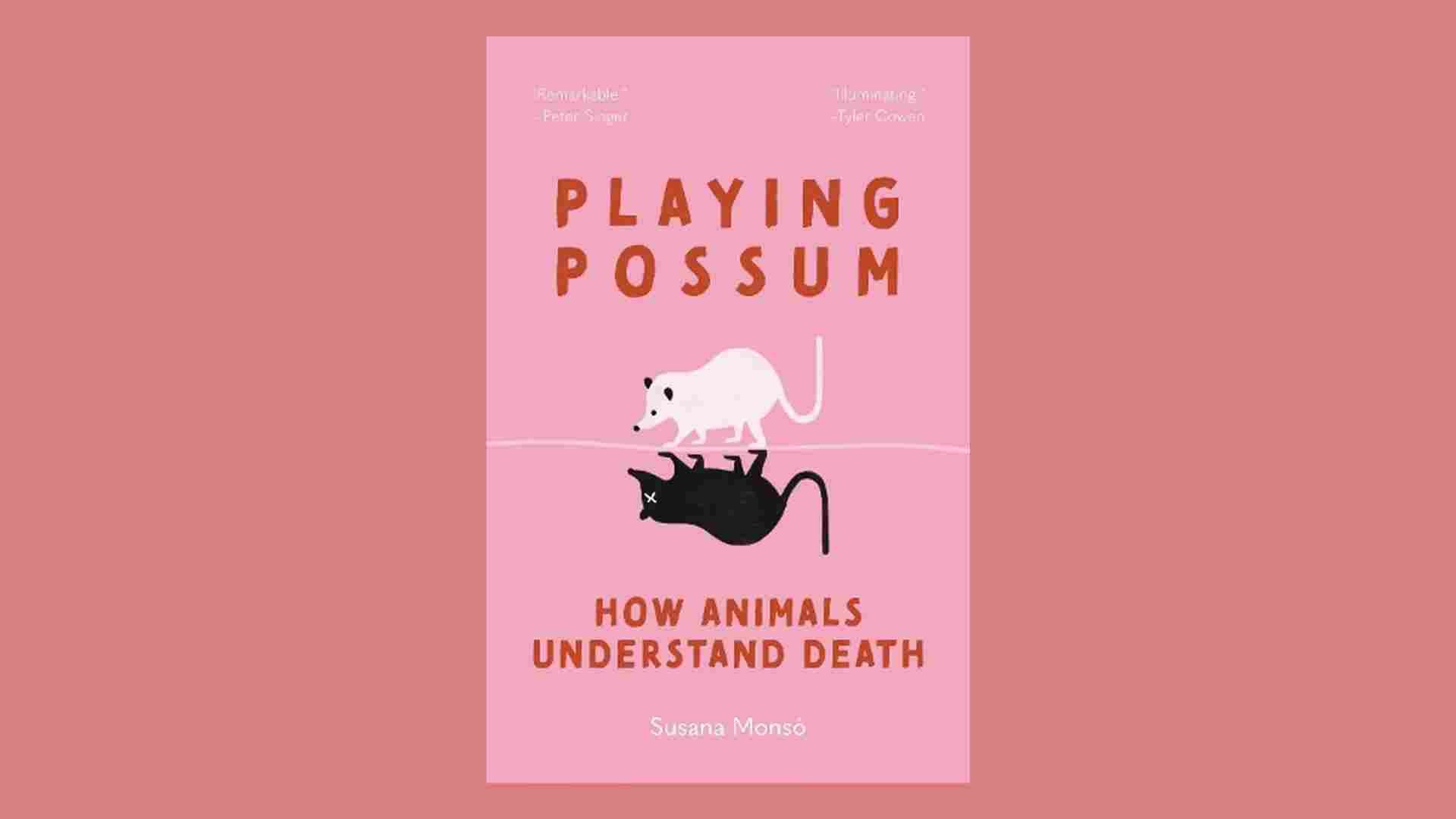 Playing-Possum-Review-Susana-Mons.jpg