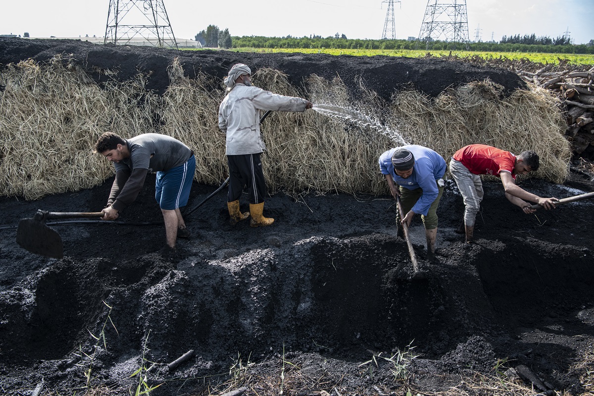 2023-12-19T000000Z_866498016_MT1NURPHO000DC9QQF_RTRMADP_3_EGYPT-CHARCOALWORKERS.JPG