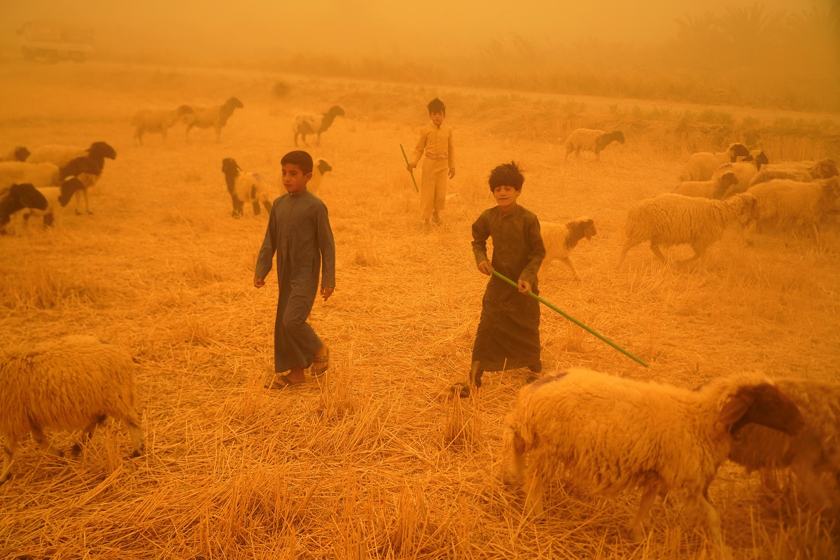 AFP__20220523__32AU7NX__v3__HighRes__TopshotIraqWeatherDustClimateBedouin.jpg